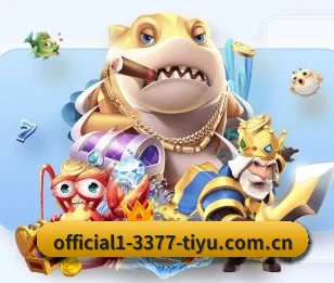3377体育买球的故事