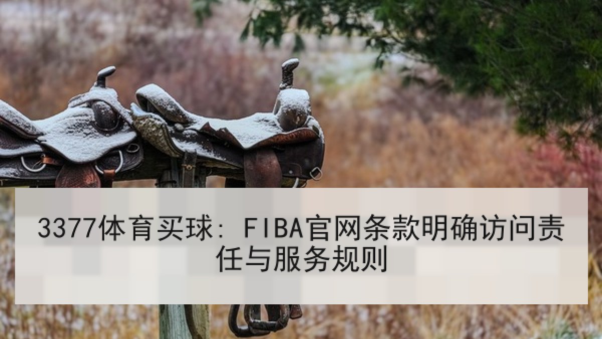 3377体育买球: FIBA官网条款明确访问责任与服务规则