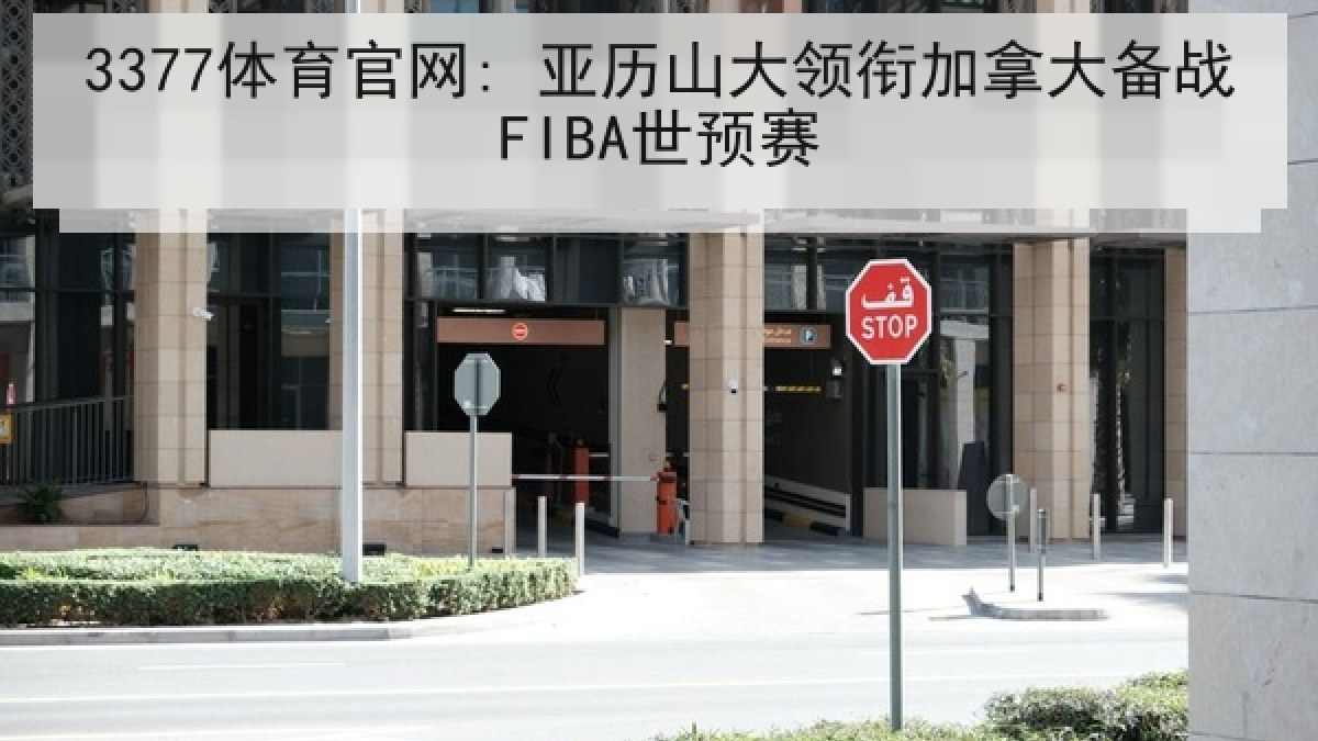 3377体育官网: 亚历山大领衔加拿大备战FIBA世预赛