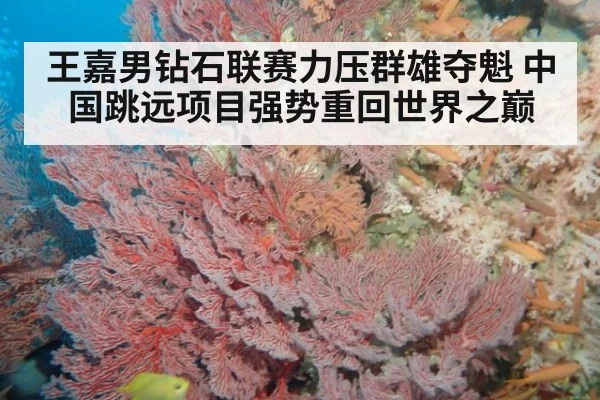 王嘉男钻石联赛力压群雄夺魁 中国跳远项目强势重回世界之巅