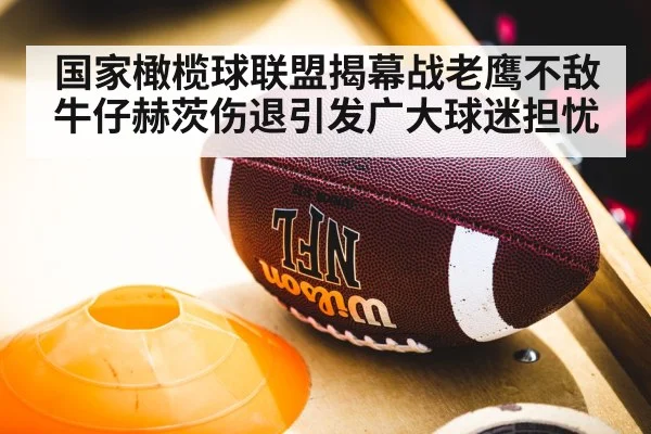 国家橄榄球联盟揭幕战老鹰不敌牛仔赫茨伤退引发广大球迷担忧